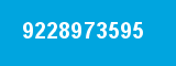 9228973595