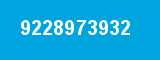 9228973932
