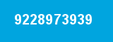 9228973939