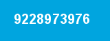 9228973976