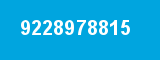 9228978815
