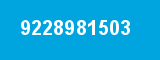 9228981503