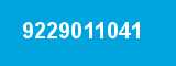 9229011041