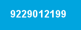 9229012199