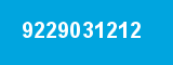 9229031212