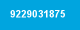 9229031875