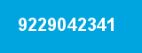 9229042341