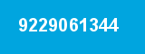 9229061344