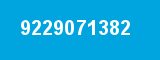 9229071382