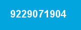 9229071904