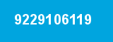 9229106119