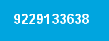 9229133638