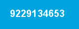 9229134653