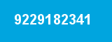 9229182341