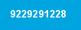 9229291228