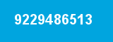 9229486513