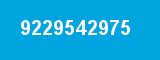 9229542975