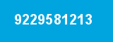 9229581213