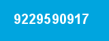 9229590917