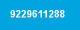 9229611288