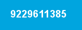 9229611385