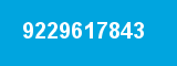 9229617843