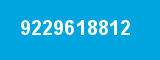 9229618812