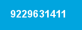 9229631411