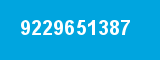 9229651387