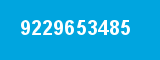 9229653485