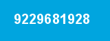 9229681928