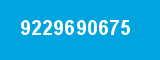 9229690675