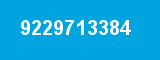 9229713384