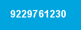 9229761230