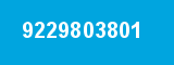 9229803801