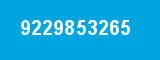 9229853265