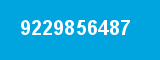 9229856487