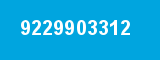 9229903312