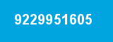 9229951605