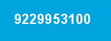 9229953100