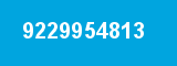 9229954813