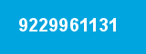 9229961131