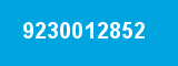 9230012852