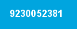 9230052381