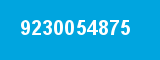 9230054875