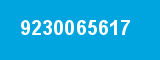 9230065617