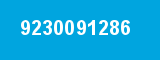 9230091286