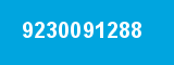 9230091288