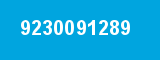 9230091289