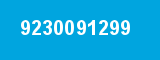 9230091299